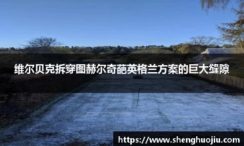 维尔贝克拆穿图赫尔奇葩英格兰方案的巨大缝隙